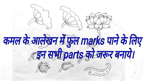 Important Parts Of Lotus Aalekhanकमल के आलेखन में उपयोग होने वाले