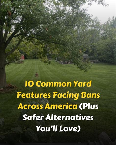 Positive - 10 Common Yard Features Facing Bans Across America (Plus