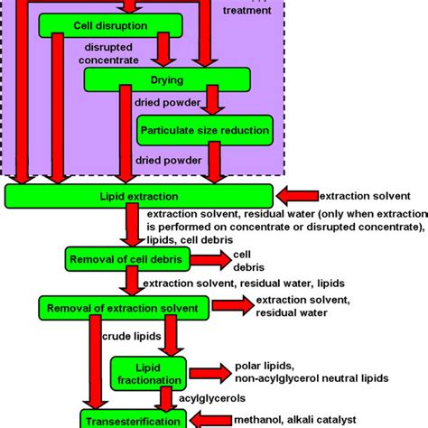 Process Flow Diagram Showing The Downstream Processing Steps Needed To