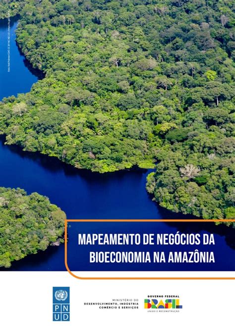 Mapeamento de Negócios da Bioeconomia na Amazônia Uma Concertação