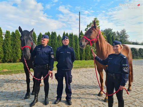 Nowe Wierzchowce W Cz Stochowskiej Policji Policja Konna Komenda