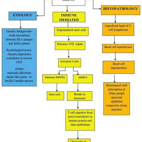 Etiology Of Oral Lichen Planus Download Scientific Diagram