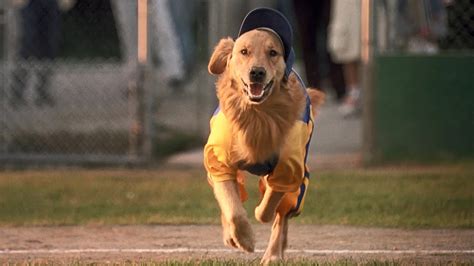 Air Bud: Seventh Inning Fetch (2002)