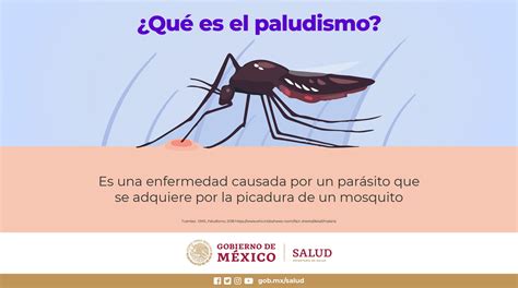 Salud M Xico On Twitter De Noviembre D A Mundial Del Paludismo