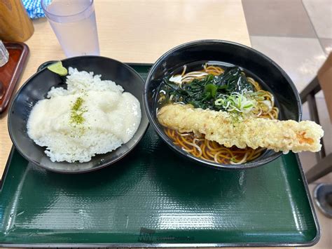 今日のお昼はちくわ天そばと、とろろ丼セッ 神奈川県秦野市 九州好きの元鉄道員 ウェザーニュース