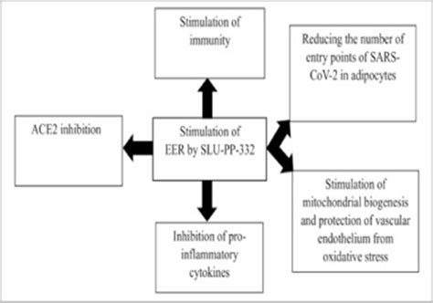 What Is Slu Pp 332 How Does It Work Peptide Custom