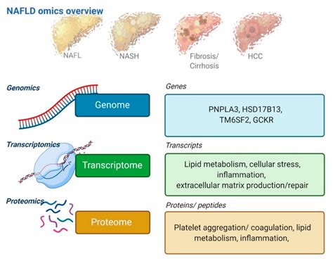 Jcm Free Full Text The Role Of Diagnostic Biomarkers Omics