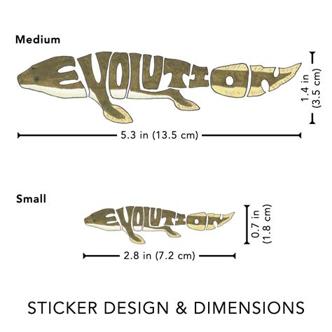 Tiktaalik Evolution