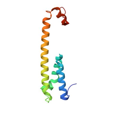 RCSB PDB 8OQZ Structure Of Human Gamma Secretase PSEN1 APH 1B