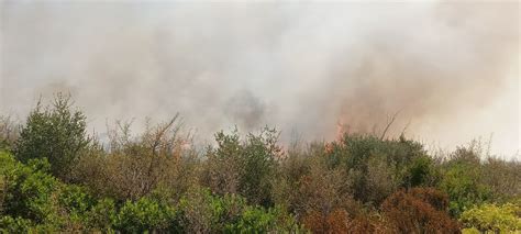 La Puglia Brucia Incendio A Martina Franca Ettari Di Macchia