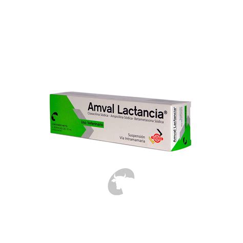 Amval Lactancia Laboratorios Valmor C A