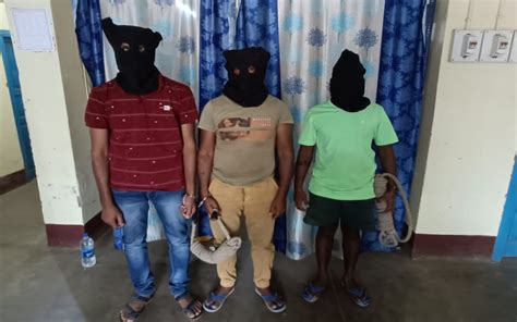 3 Cyber Criminal Arrested In Jamtara