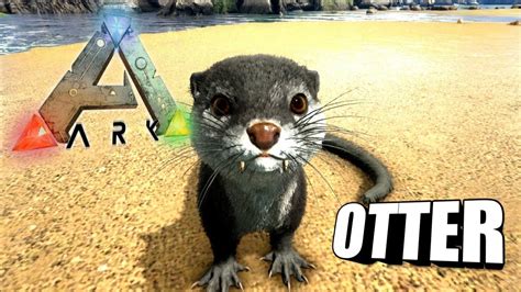 ARK OTTER TAMING! HOW TO TAME AND BREEDING! BABY OTTERS HATS! Ark: Survival Evolved [S4E30 ...