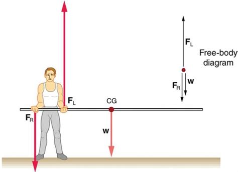 Applications Of Statics Including Problem Solving Strategies Physics