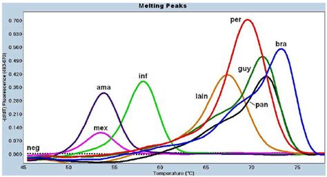 Melting Curve Analysis For The Mpi Based Real Time Pcr Assay On