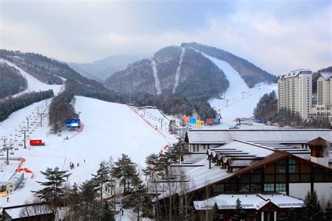 Yongpyong Ski Resort Guide A World Class Ski Resort In Korea Trazy