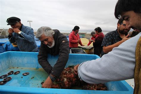 Destacan Aporte De Programa De La Ucn Para El Desarrollo Sostenible De