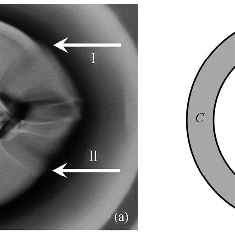 A The Oscillatory Thermocapillary Flow Pattern B The Schematic Download Scientific Diagram