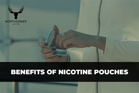 Benefits Of Nicotine Pouches Learn More Northerner Uk