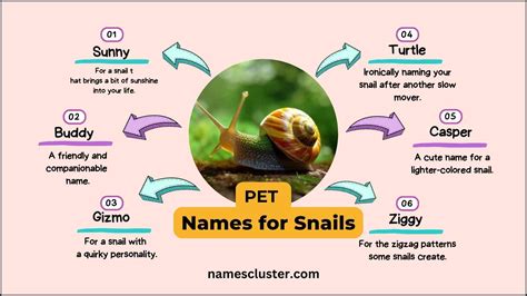 Best Cute Fuuny And Sea Snail Names