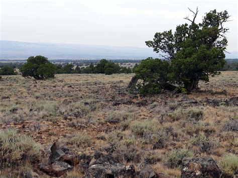 Pacific Northwest Interagency Natural Areas Network