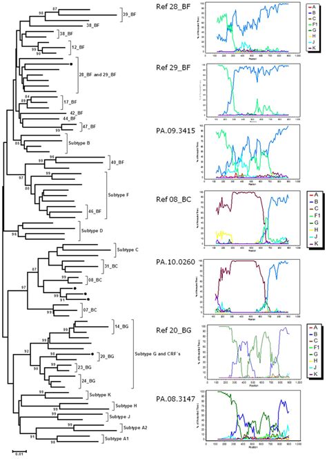 Phylogenetic Neighbor Joining Tree Of Hiv Pol Gene Sequences From