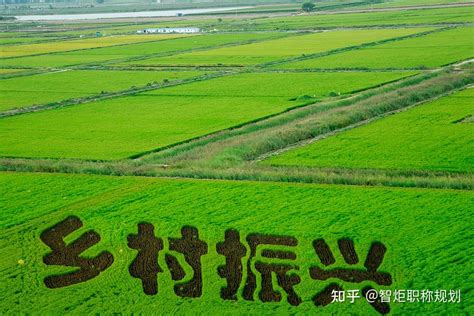 农民职称评定助力乡村振兴！ 知乎