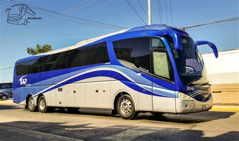 Maxibuses Transportes Y Autobuses Del Pac Fico Confort Tap Confort