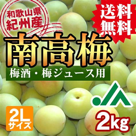 【楽天市場】※2024年販売終了※【送料無料】＜梅酒用・梅ジュース用＞紀州産南高梅（2lサイズ） 約10kg Ja紀南 青梅をお届けします♪