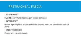 DEEP CERVICAL FASCIA.pptx