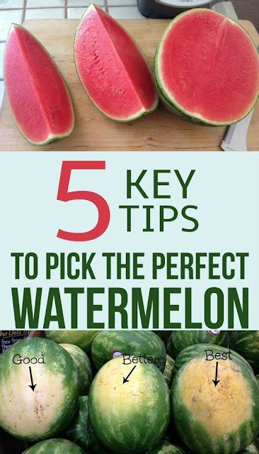 5 Key Tips To Pick The Perfect Watermelon HEALTH LIFESTYLE