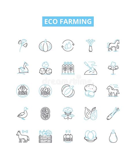 Conjunto De Iconos De Línea Vectorial De Cultivo Ecológico Ecofarmar