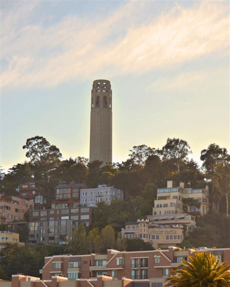 Coit Tower - Natures Looking Glass