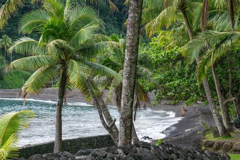 A Food Lover’s Guide to Tahiti: Must-Try Local Delicacies - Unique Tahiti