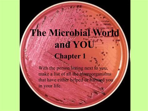 The Microbial World And YOU