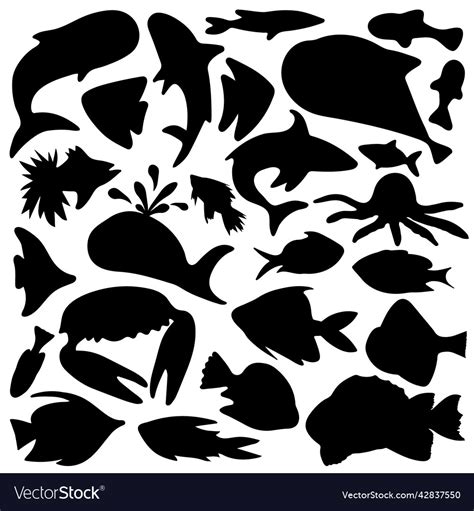 Set Of Fish Silhouette Fish Silhouette Collection Vector Image