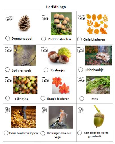 Herfst Bos Bingo Met Gratis Printable Artofit