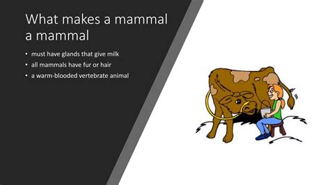 Mammals Powerpoint Ppt