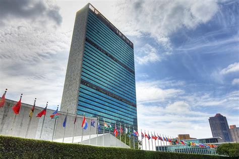 La Onu Celebra Su 75 Aniversario Alcanzando El Conocimiento