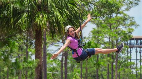 10 Awesome Outdoor Adventures In Orlando Orlando Tree Trek Adventure Park