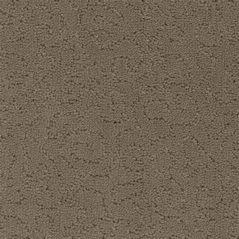 Home Decorators Collection Adalida Flint Gray 40 Oz SD Polyester