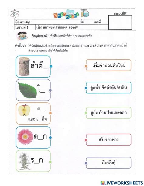 Ejercicio De ใบงาน ป1 หน้าที่ส่วนต่างๆของพืชและสัตว์ วิทยาศาสตร์