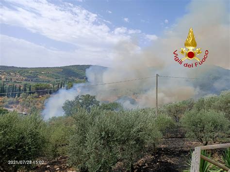 Vasto Incendio Scoppiato In Un Bosco Nella Zona Del Lago Trasimeno