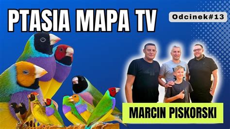 Ptasia Mapa TV Odcinek 13 Marcin Piskorski YouTube