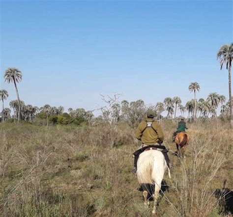 Gendarmes Realizan Patrullajes Contra La Caza Furtiva Argentina Gob Ar