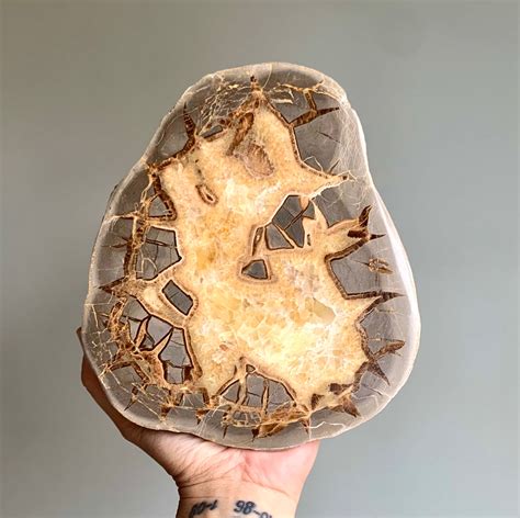 Septarian Stone Septarian Nodule Aragonite Stone 725 Etsy