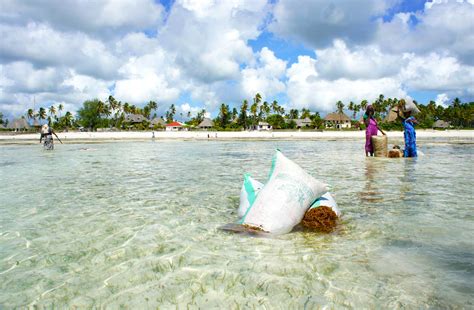 Jambiani Village Tour | Full-Day Zanzibar Culture Tour | Colors of Zanzibar