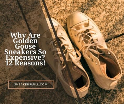 Why Are Veja Sneakers So Expensive Top 7 Reasons In 2024