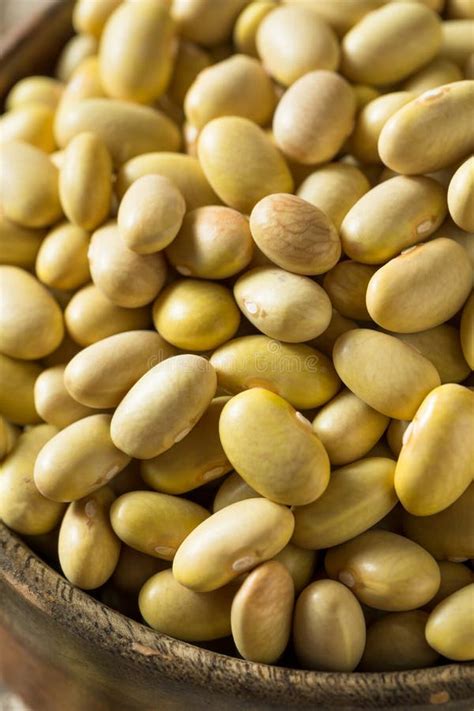 Dry Organic Yellow Mayocoba Beans Stock Photo Image Of Meaty