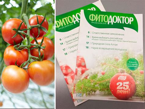 Фунгицид "ФитоДоктор": инструкция по применению для растений, описание ...